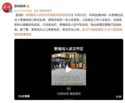 爆料武汉视频,揭秘城市真实面貌 第1张 爆料武汉视频,揭秘城市真实面貌 第1张